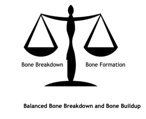 balanced bone breakdown and bone formation