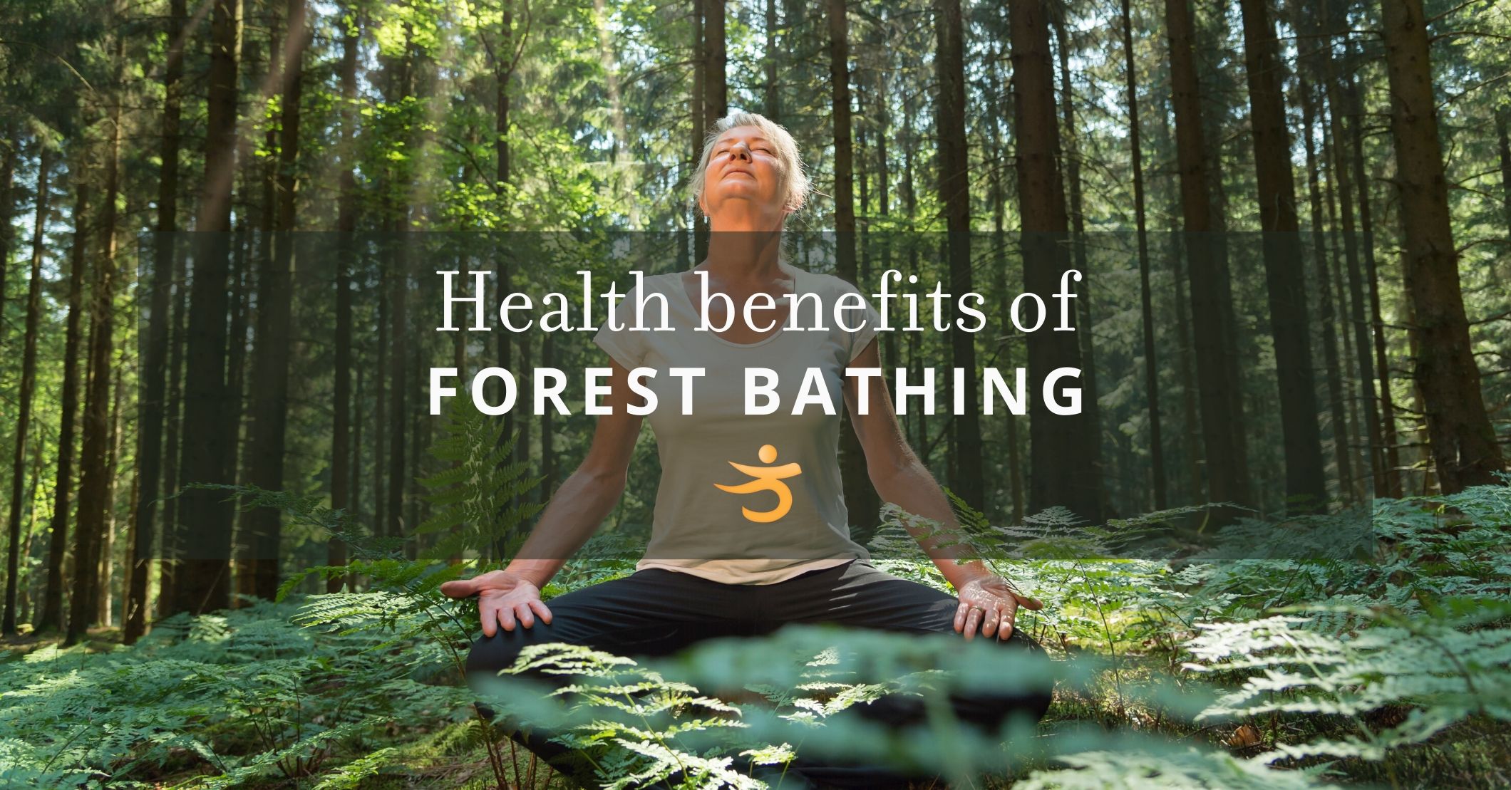 Forest Bathing— Better Bones
