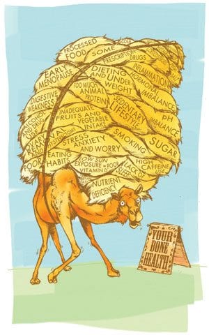 Camel burdens