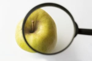 reviewing an apple with a magnifying glass